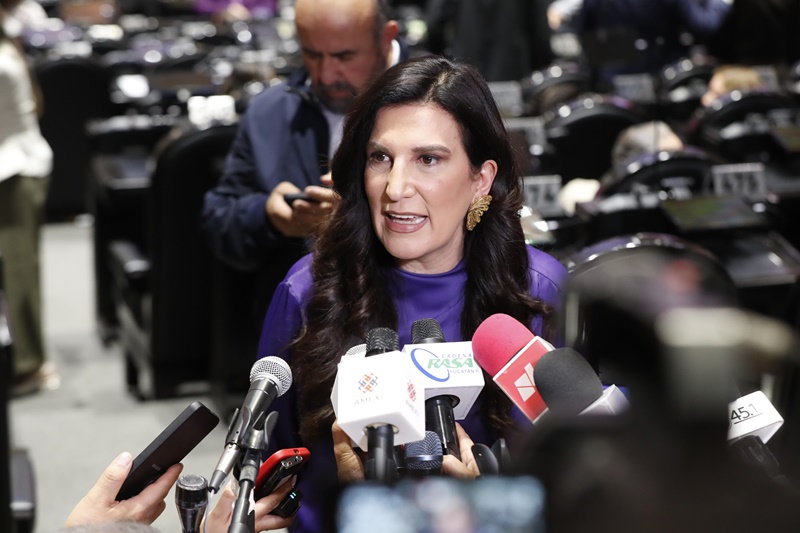 Kenia López Rabadán descarta fast track en reforma electoral