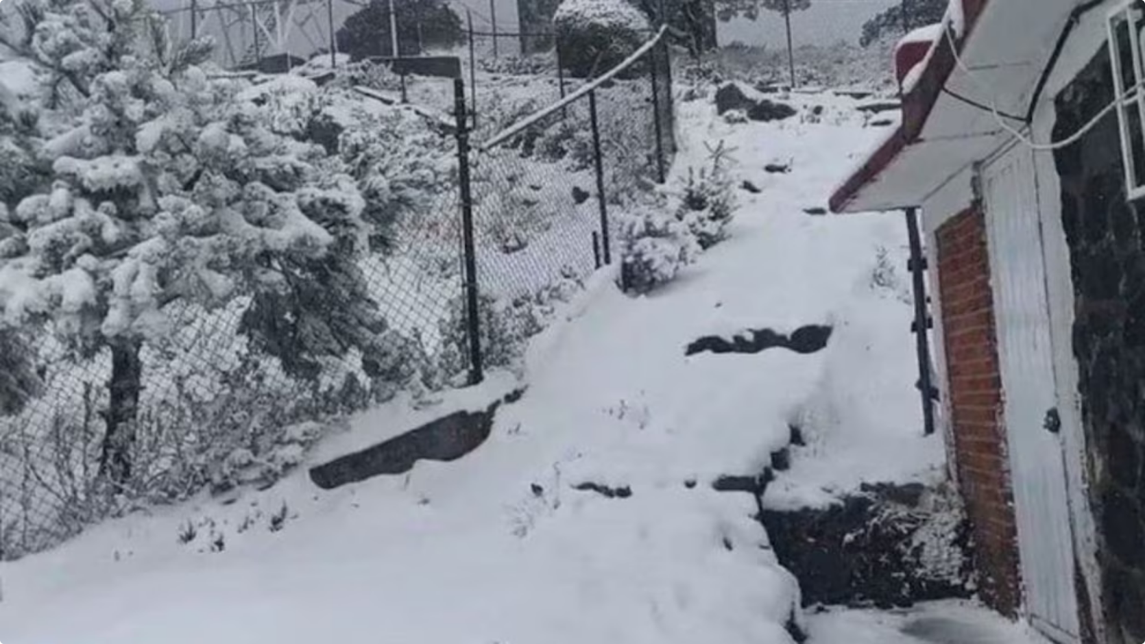 Cierran el Ajusco por nieve en plena primavera: autoridades activan medidas de seguridad
