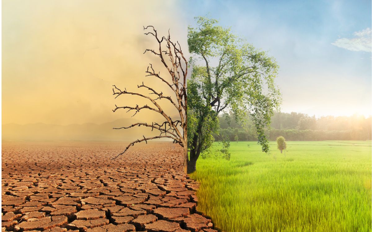 Redes sociales y desinformación climática: el desafío global que enfrenta la regulación digital